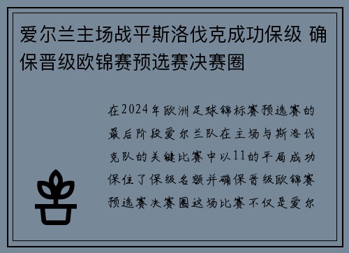 爱尔兰主场战平斯洛伐克成功保级 确保晋级欧锦赛预选赛决赛圈