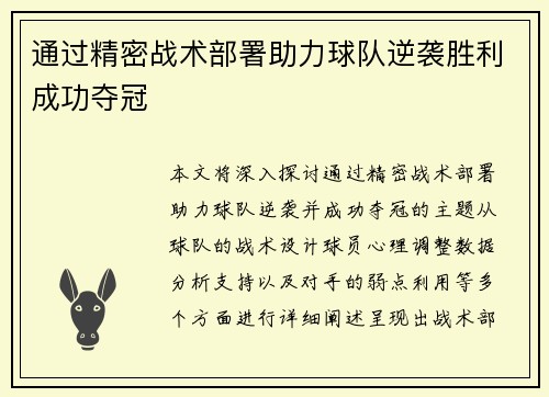 通过精密战术部署助力球队逆袭胜利成功夺冠