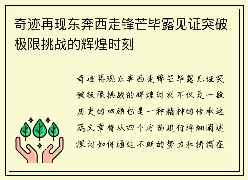 奇迹再现东奔西走锋芒毕露见证突破极限挑战的辉煌时刻
